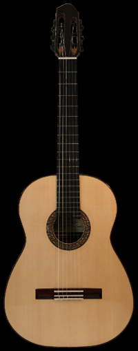 Sinan Rifat Gitarı